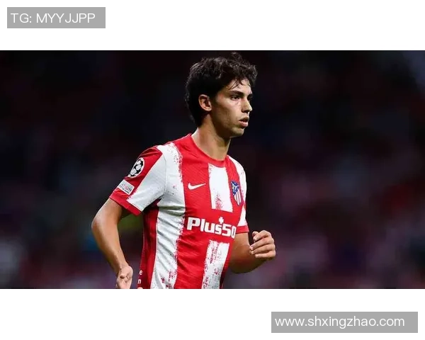 菲利克斯女球星头像解析 展现足球场上的新生代力量与独特魅力