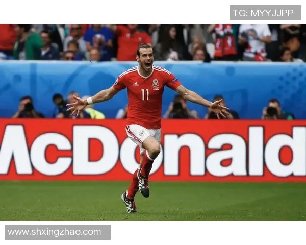 足球巨星荣耀之路 全面解析球员个人成就与历史地位